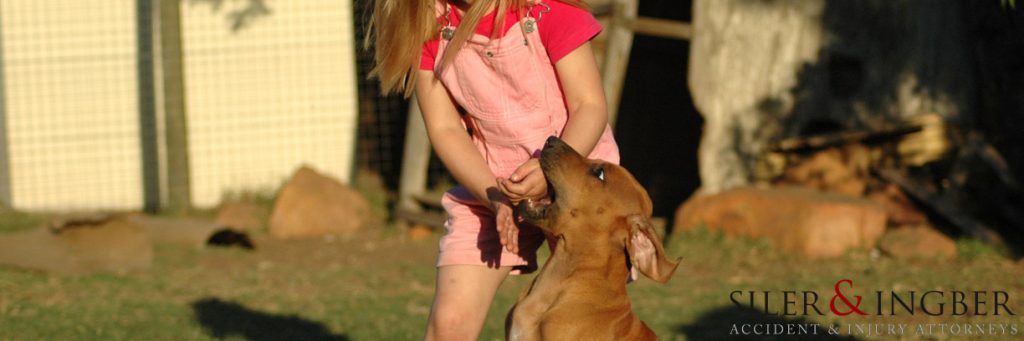 Common-Causes-of-Dog-Bite-Incidents